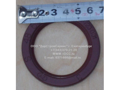 Сальник 48х65х6,2 H HOWO (ХОВО)  фото 1 Новосибирск