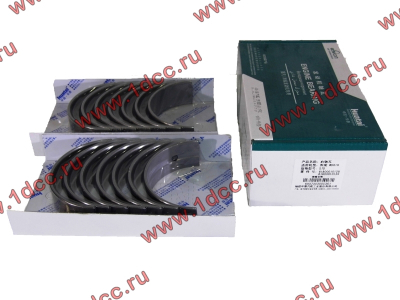 Вкладыши коренные WD618 (комплект) SH SHAANXI / Shacman (ШАНКСИ / Шакман) 61800010128/132 фото 1 Новосибирск