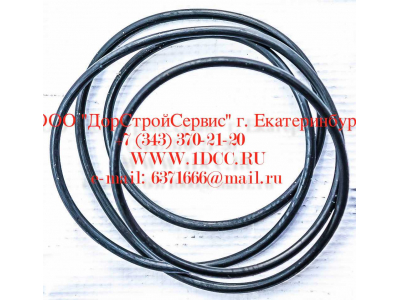 Кольцо уплотнительное ø338х3.55 гидромуфты ГТР CDM 833 Lonking CDM (СДМ) ø338х3.55 фото 1 Новосибирск