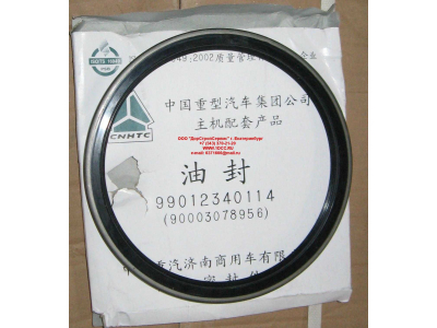 Сальник 190х220х15 задней ступицы наружный H/SH HOWO (ХОВО) WG9112340114 фото 1 Новосибирск