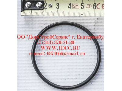 Кольцо уплотнительное ø346х3.5 гидромуфты ГТР CDM 855, 843 Lonking CDM (СДМ) 402236 фото 1 Новосибирск